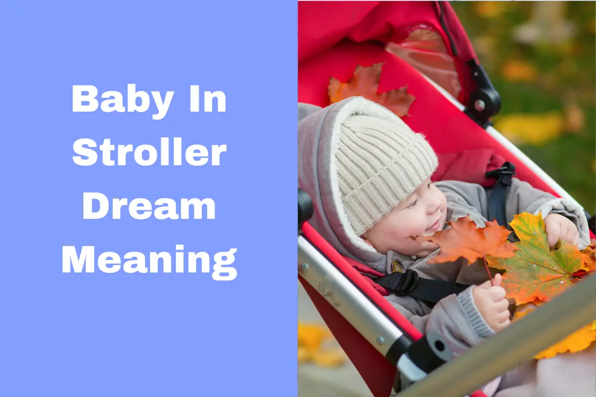 Baby In Stroller Dream Meaning