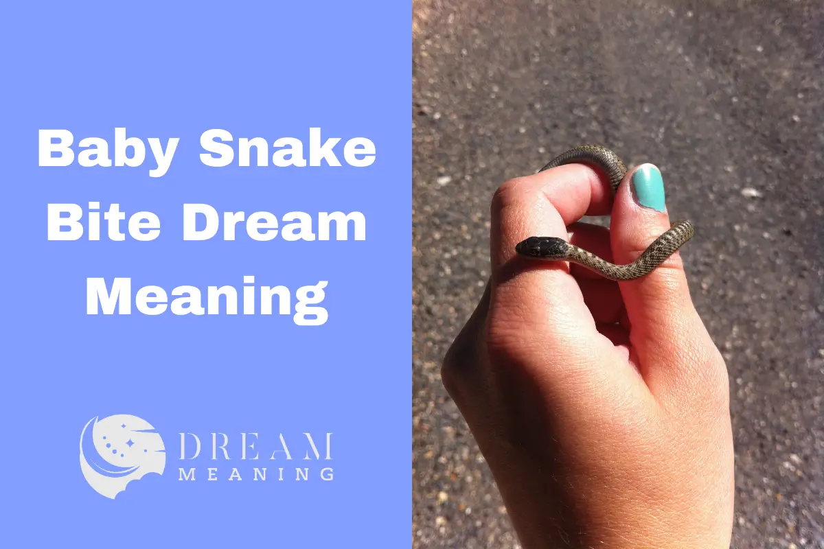 Baby Snake Bite Dream Meaning