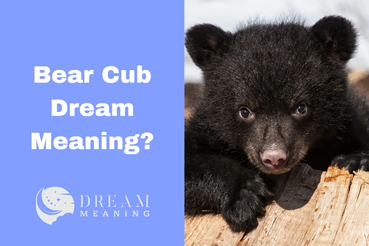 Bear Cub Dream Meaning