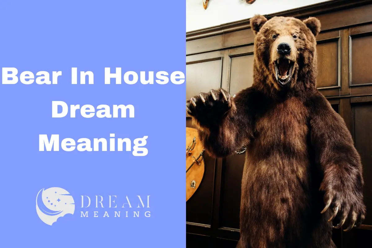 dream-meaning-of-a-bear-in-the-house-what-does-it-mean-the-dream