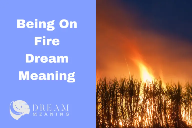 dreaming-of-being-on-fire-here-s-what-it-means-the-dream-meaning