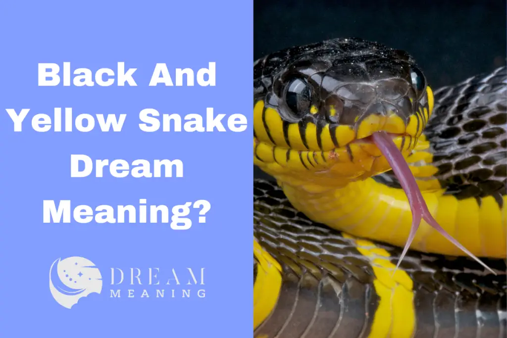 Dream Interpretation What Does It Mean To Dream Of A Black And Yellow