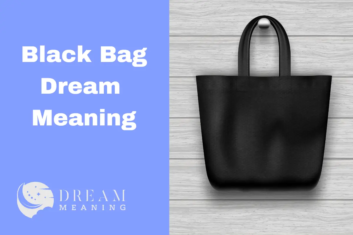 Dream Interpretation What Does It Mean When You Dream of a Black Bag