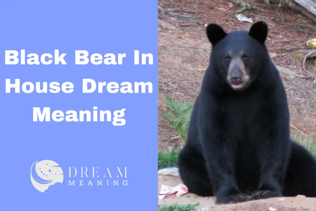 dream-interpretation-what-does-it-mean-when-you-dream-about-a-black