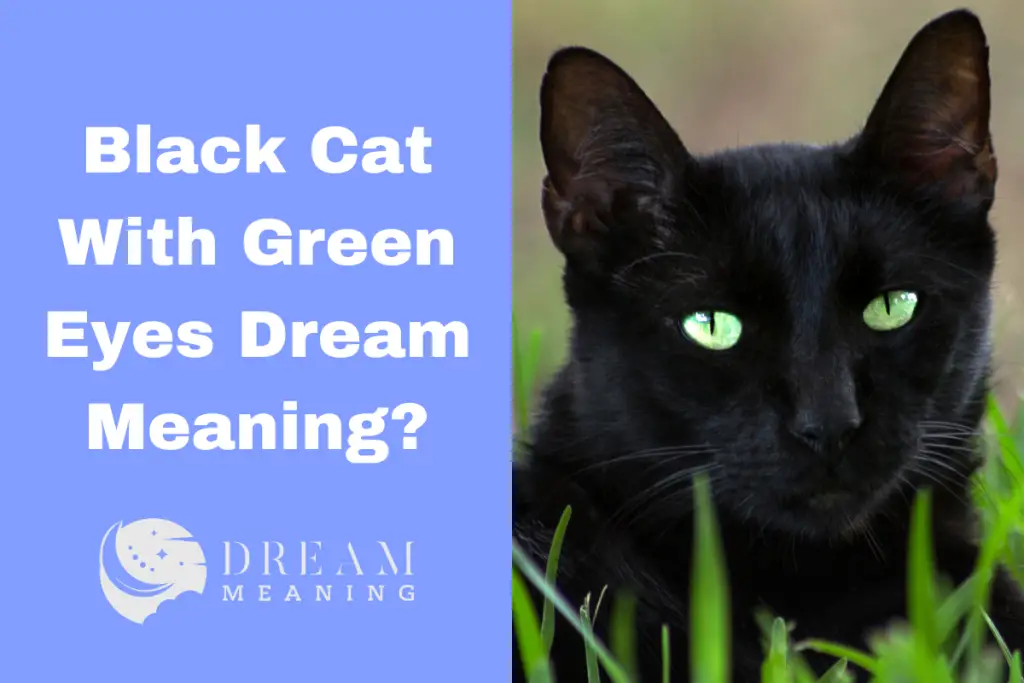 Light Green Eyes Dream Meaning