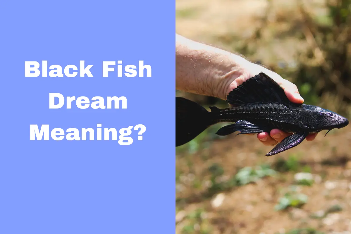 Black Fish Dream Meaning