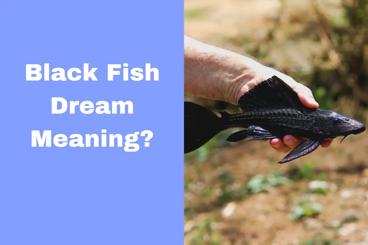 black-fish-dream-meaning-uncovering-the-symbolism-behind-common-dreams