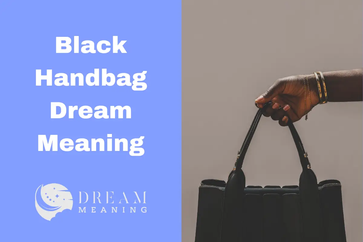 Black Handbag Dream Meaning