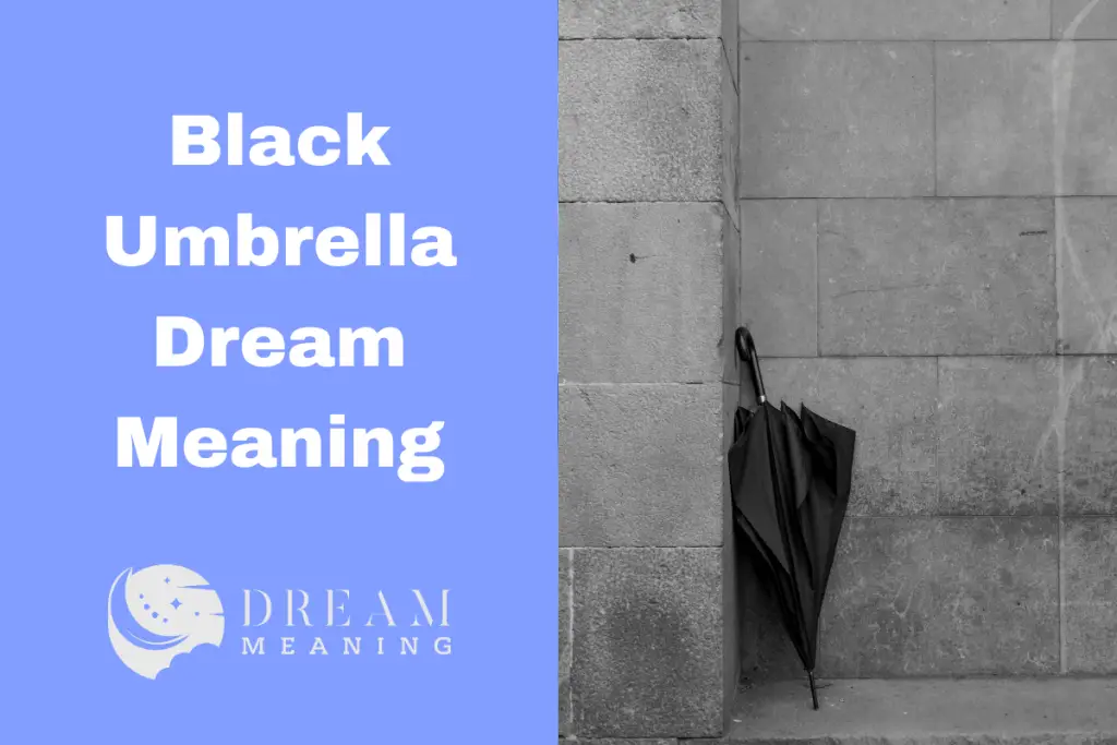 Dream Interpretation What Does Dreaming About a Black Umbrella Mean