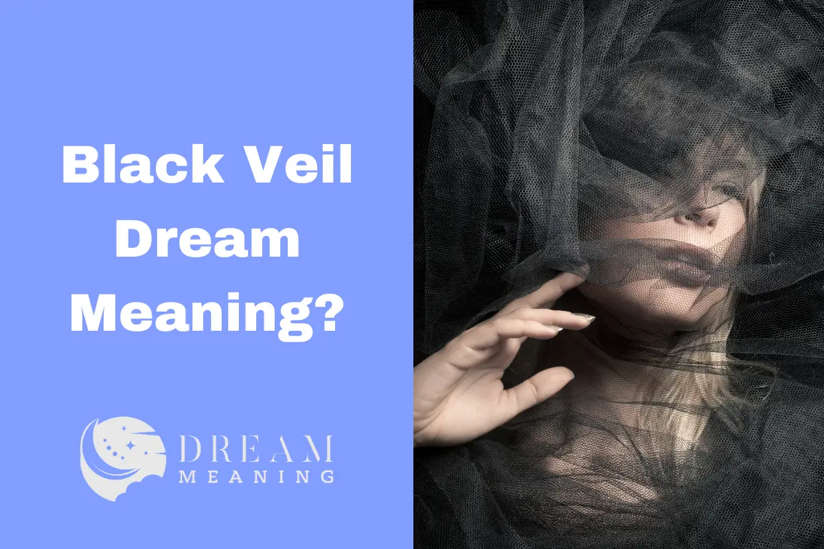 What Does It Mean When You Dream of a Black Veil? An Expert Explains