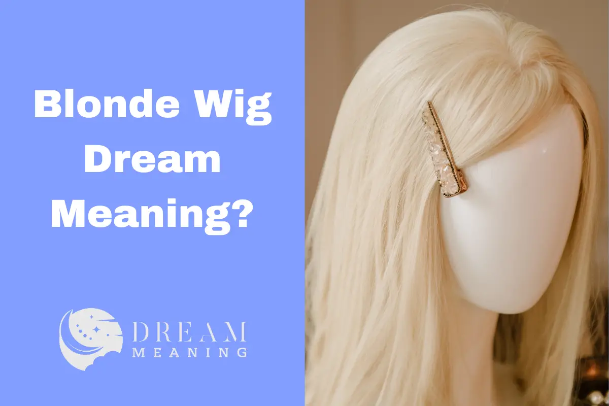 Dreaming About A Blonde Wig? Here's What It Means! The Dream Meaning