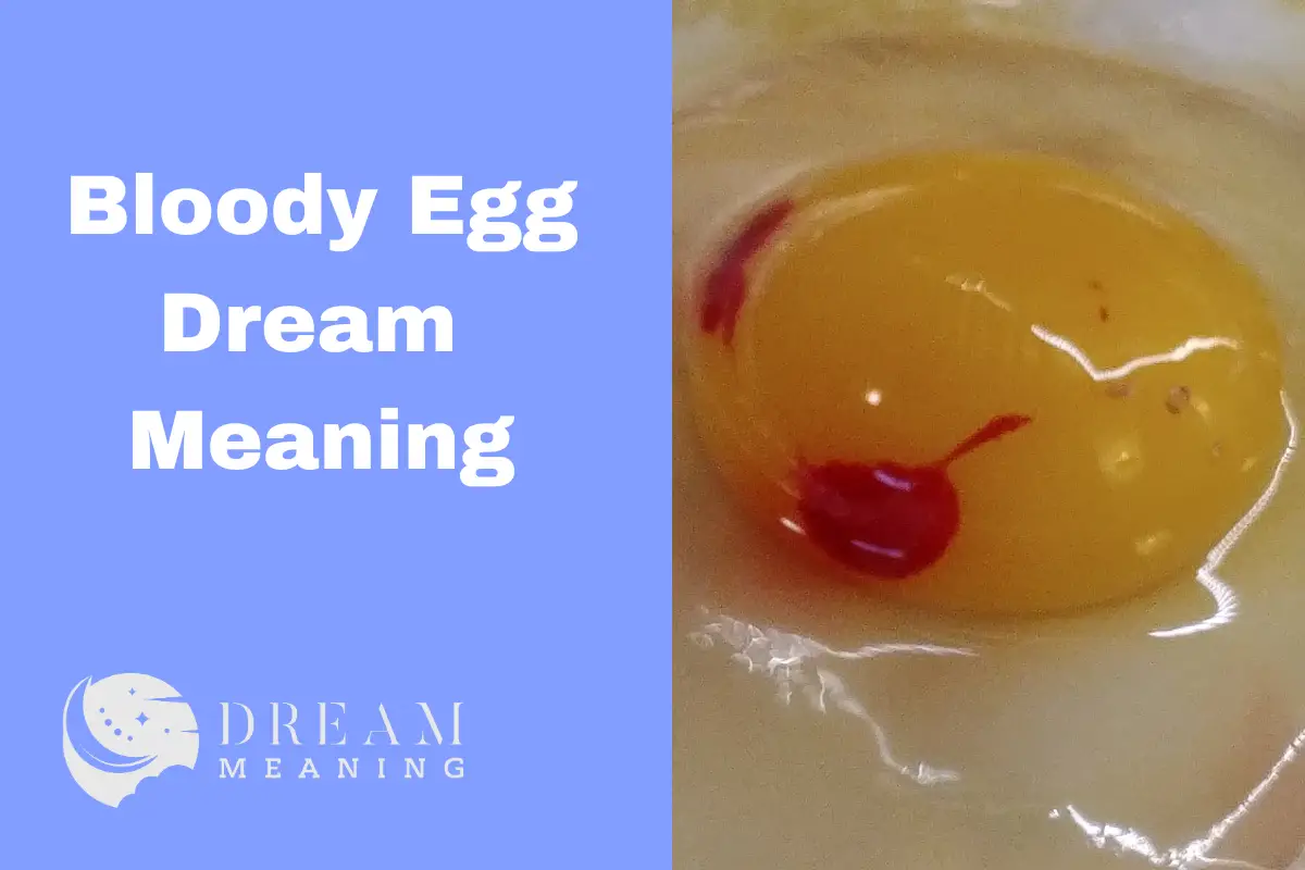 Exploring The Bloody Egg Dream Meaning What Is It Trying To Tell You