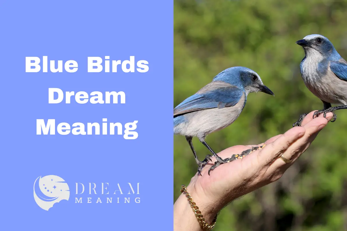 unlock-the-meaning-of-blue-birds-in-your-dreams-what-are-they-trying