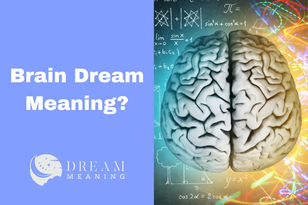 Brain Dream Meaning