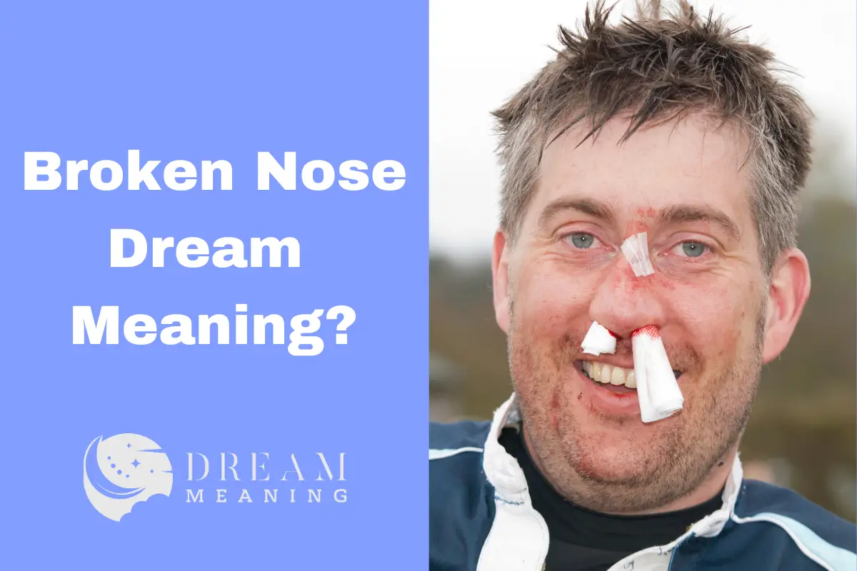 what-does-it-mean-when-you-dream-about-a-broken-nose-the-dream-meaning