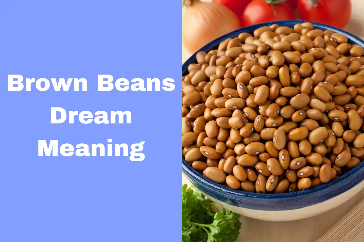 Brown Beans Dream Meaning