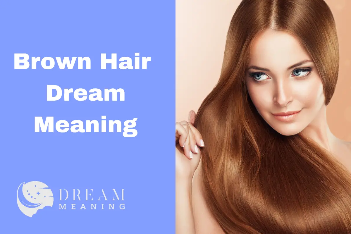 dream-interpretation-what-does-brown-hair-mean-in-a-dream-the-dream