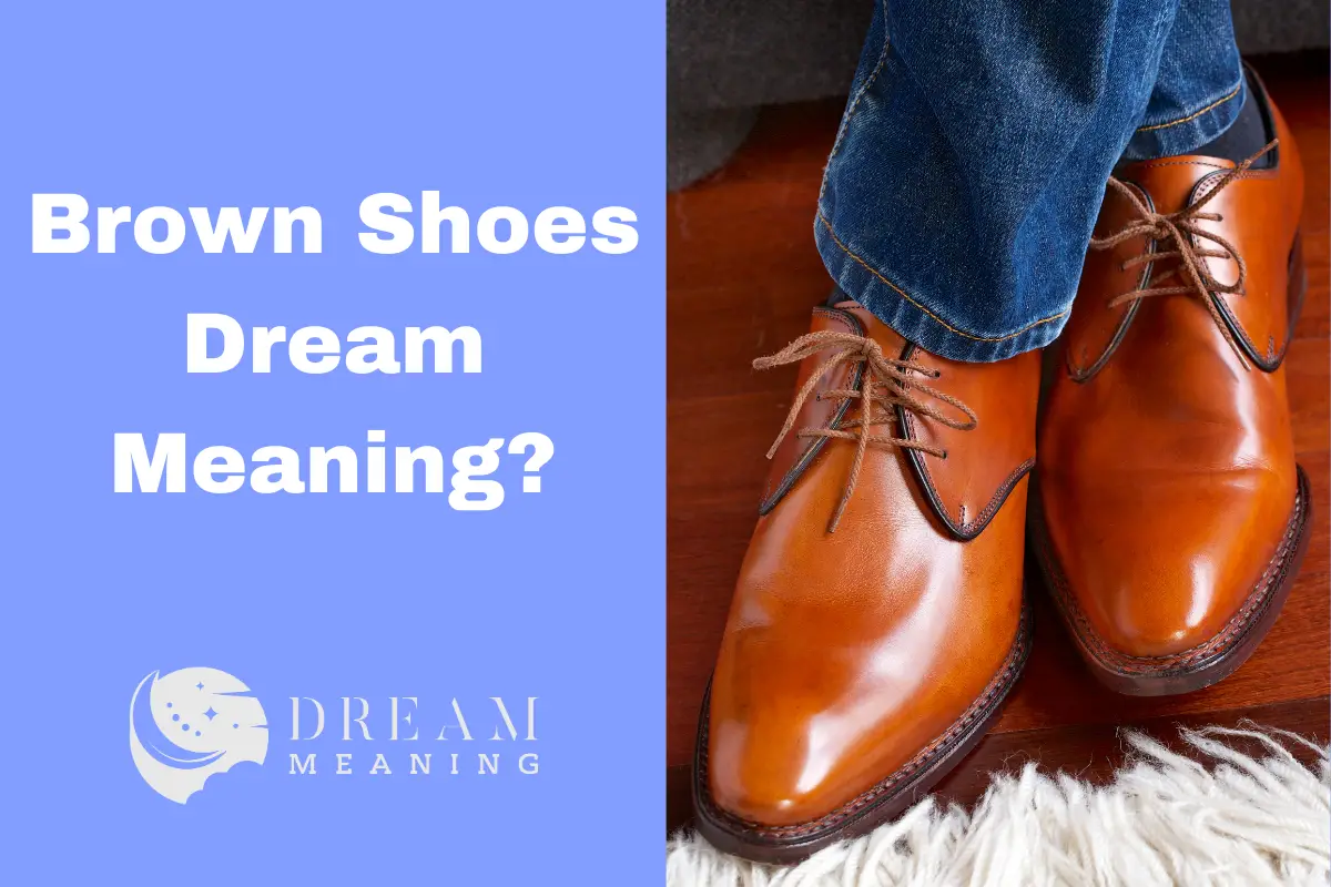 Brown Shoes Dream Meaning