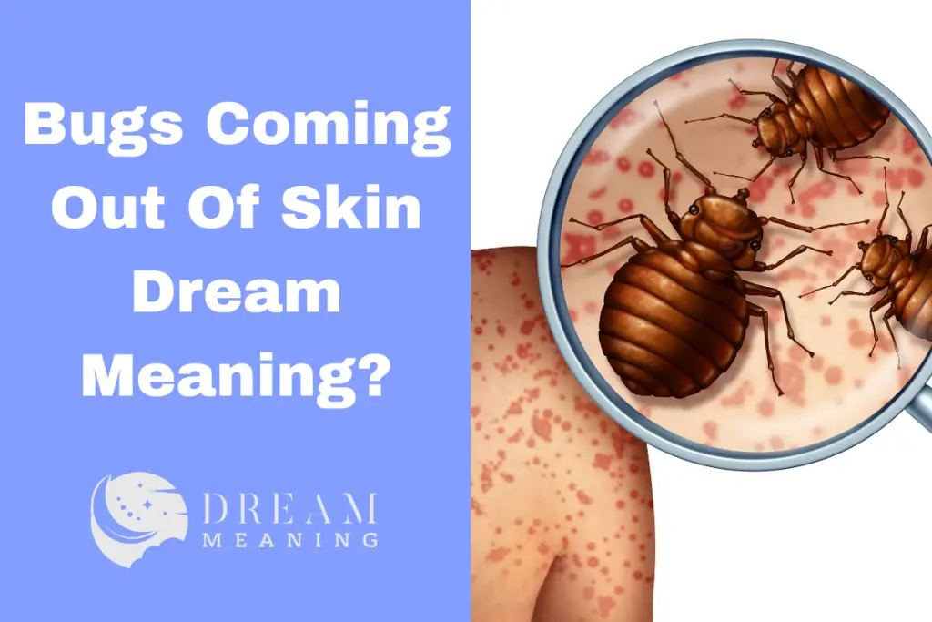 dream-meaning-what-does-it-mean-when-you-have-bugs-coming-out-of-your