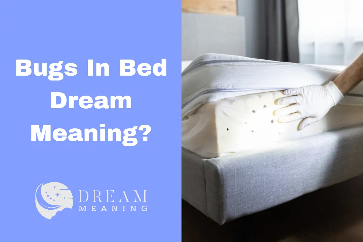 what-does-it-mean-when-you-dream-of-bugs-in-your-bed-the-dream-meaning