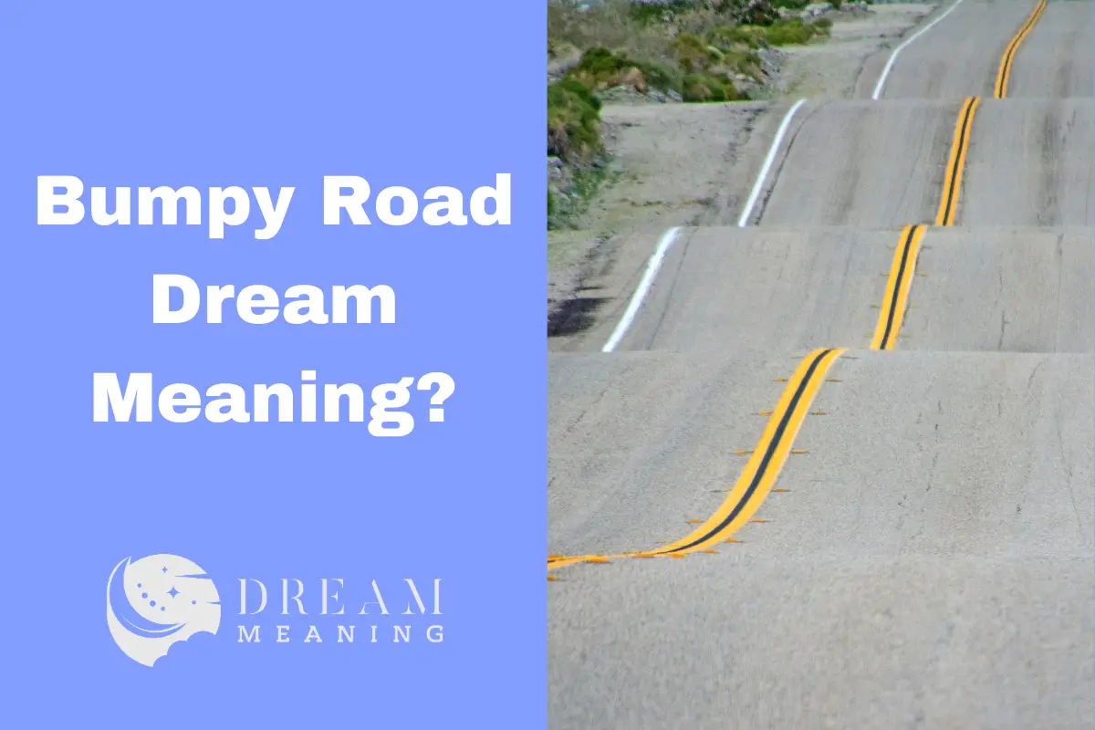 what-does-it-mean-to-have-a-bumpy-road-dream-here-s-the-answer-the-dream-meaning