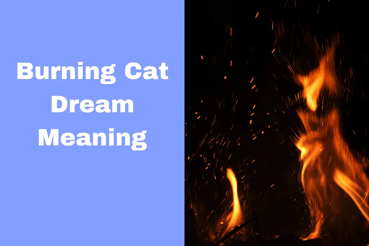 Burning Cat Dream Meaning