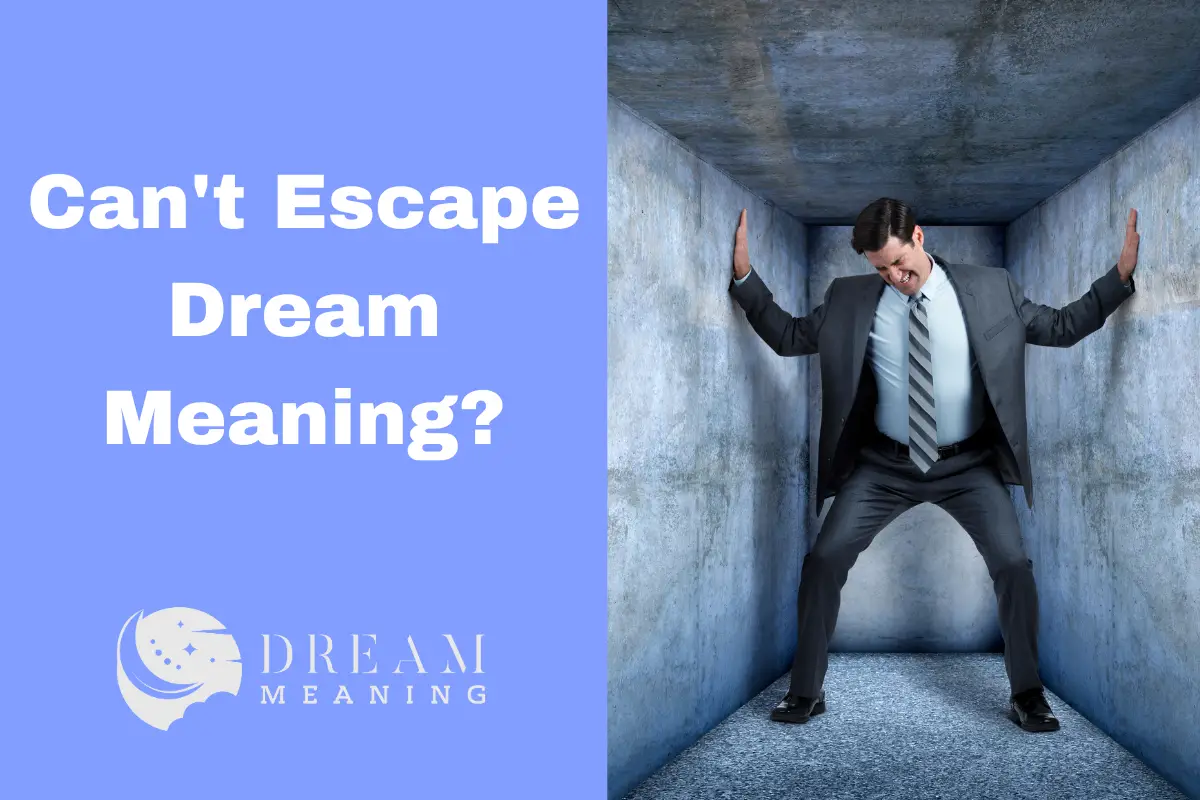 Can't Escape Dream Meaning