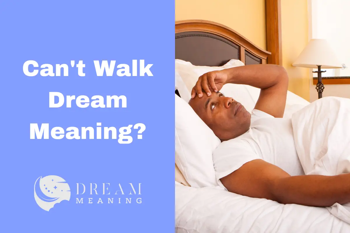 Can't Walk Dream Meaning