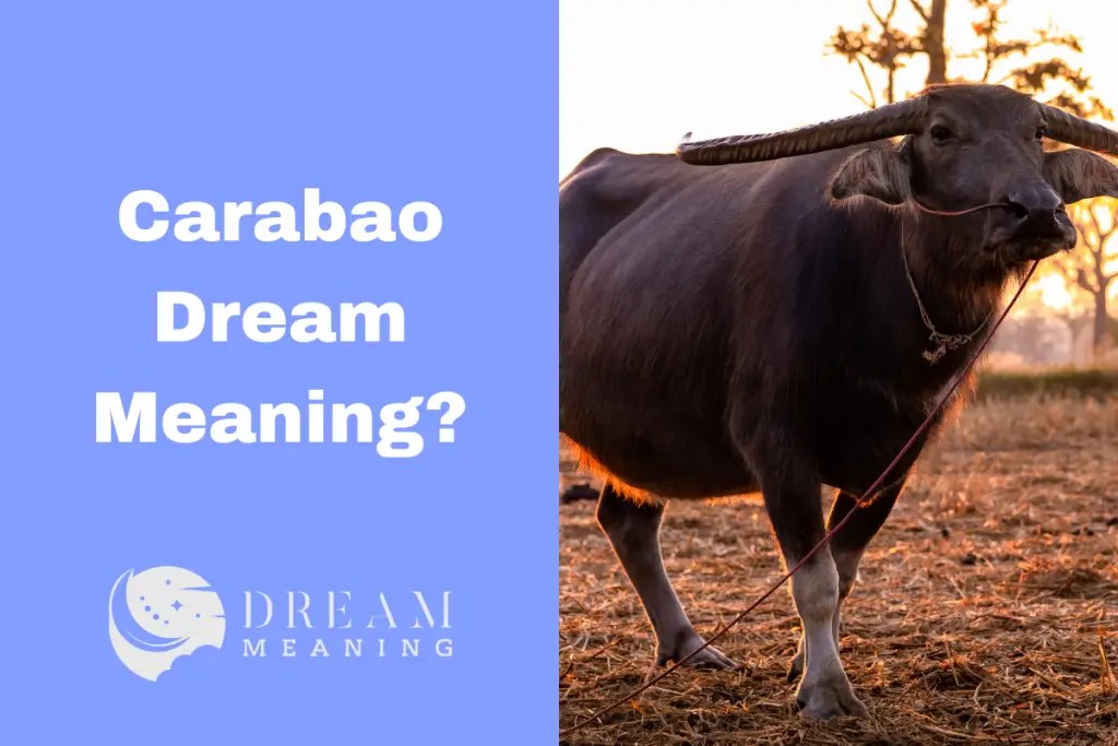 Dreaming of Carabao? Uncover the Meaning Behind This Symbolism The