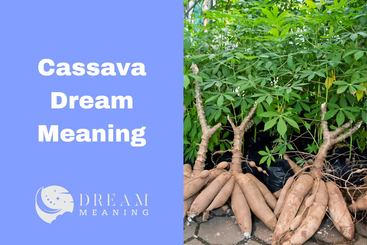 Cassava Dream Meaning