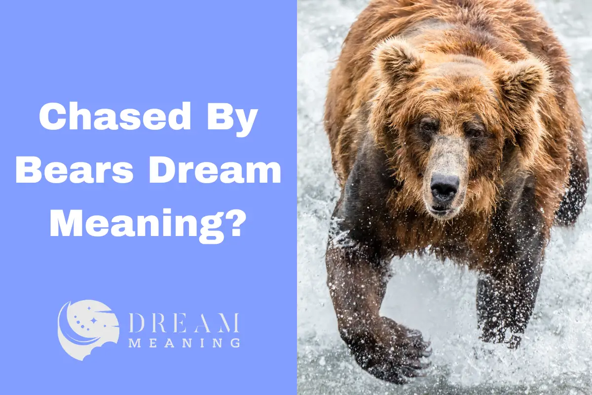 what-does-it-mean-to-be-chased-by-bears-in-your-dream-find-out-here