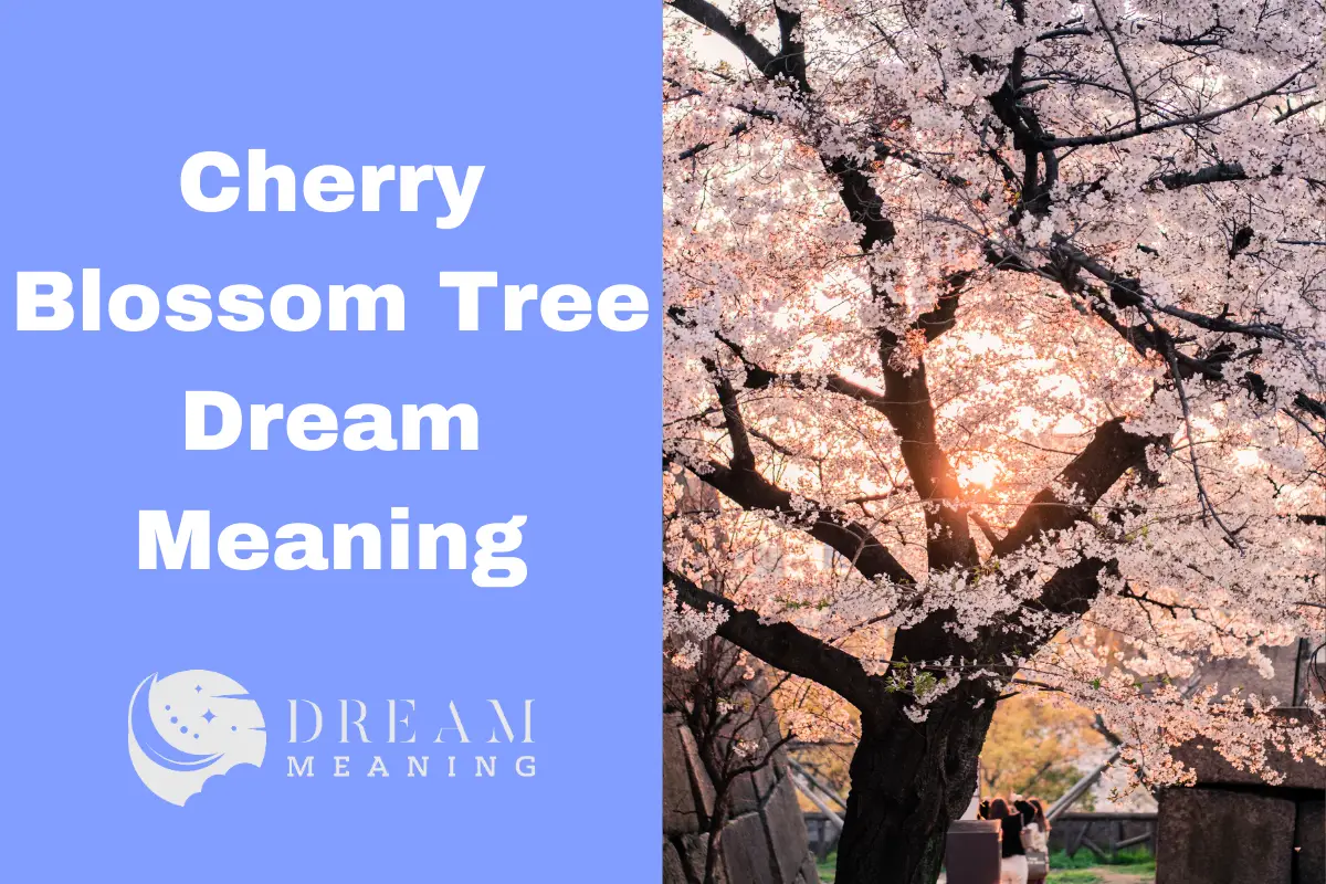 Cherry Blossom Tree Dream Meaning What Does Yours Mean? The Dream