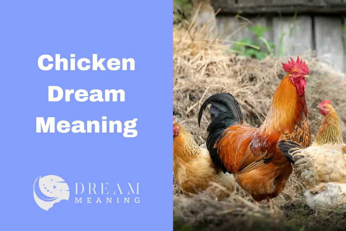 Unlocking The Mystery Behind Chicken Dream Meaning The Dream Meaning