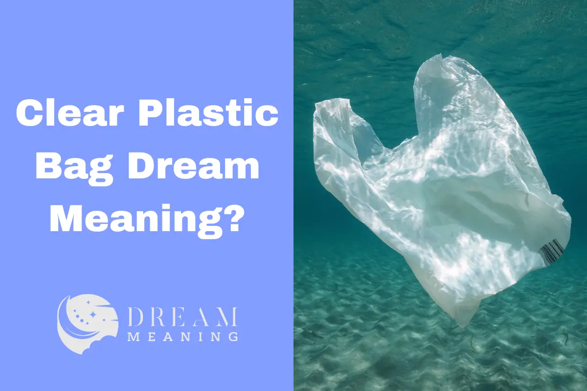 What Does It Mean To Dream About A Clear Plastic Bag? Uncovering The