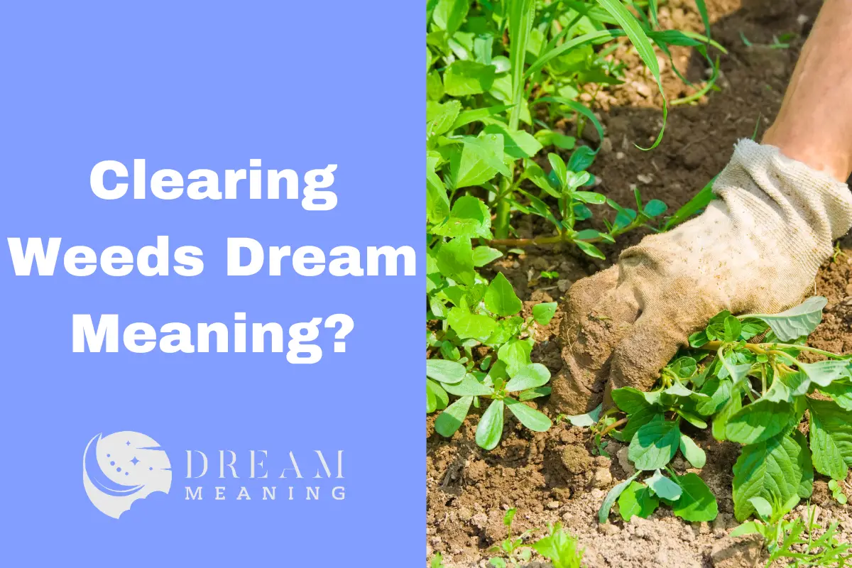 dream-interpretation-clearing-weeds-what-does-it-mean-the-dream