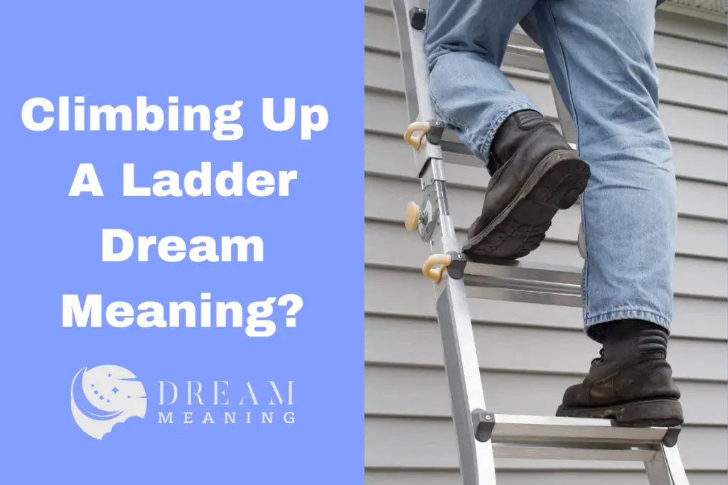 Climbing Up A Ladder Dream Meaning What Does It Really Mean? The