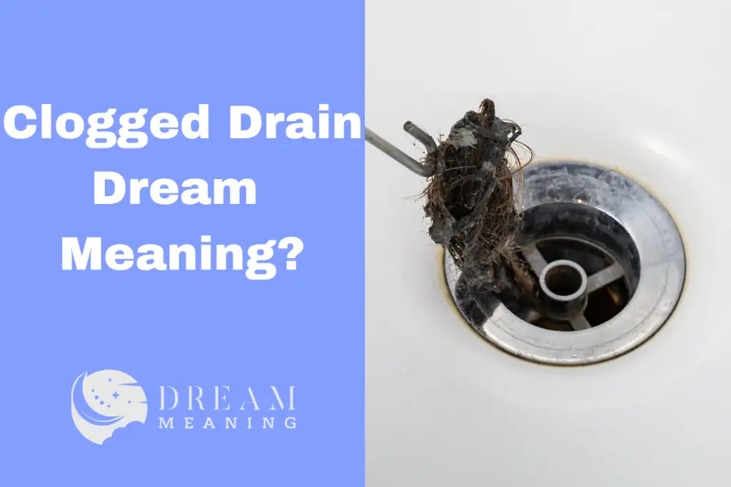 Dream Interpretation What Does it Mean When You Dream About Clogged