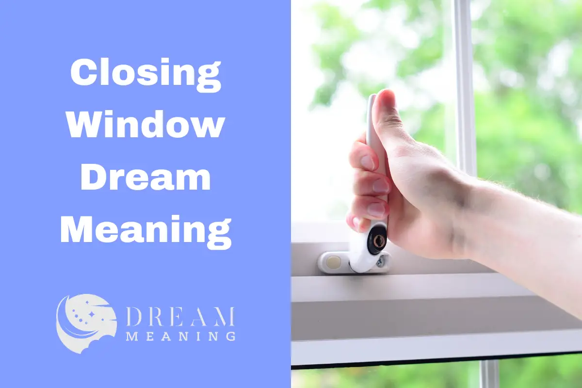 Closing Window Dream Meaning