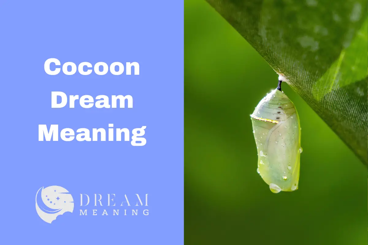 Dream Interpretation What Does It Mean To Dream About Cocoons? The