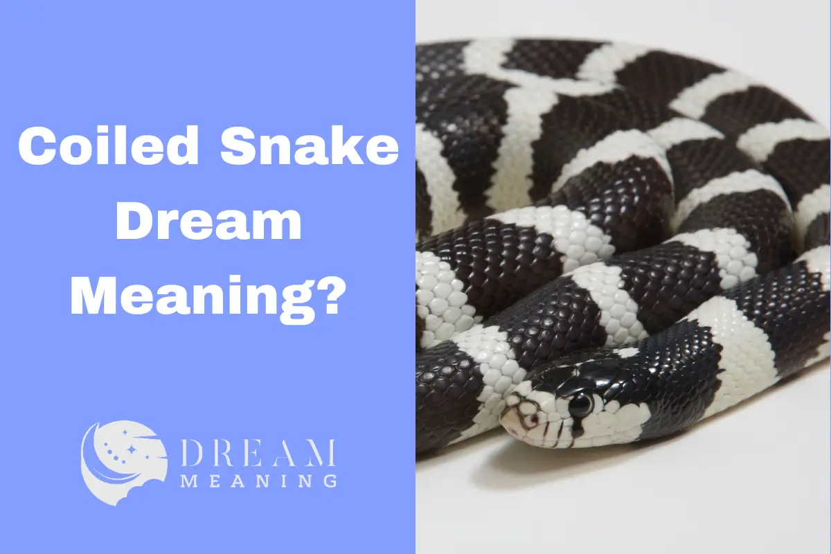 Coiled Snake Dream Meaning