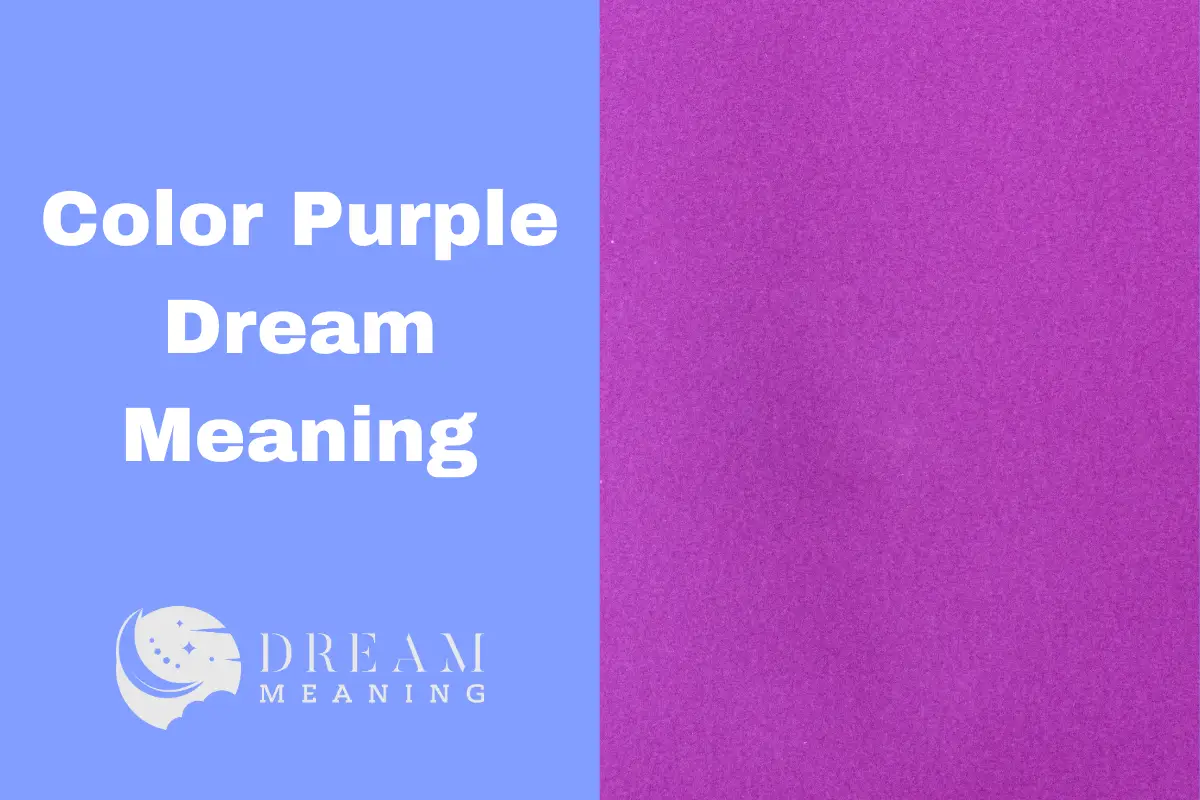 Dreaming of the Color Purple Uncovering The Hidden Meanings The