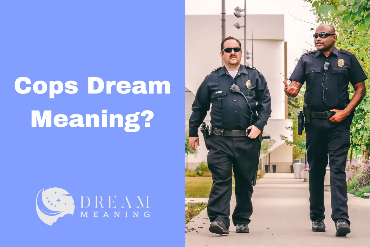 Dreaming of Cops What Does It Mean & How To Interpret It? The Dream
