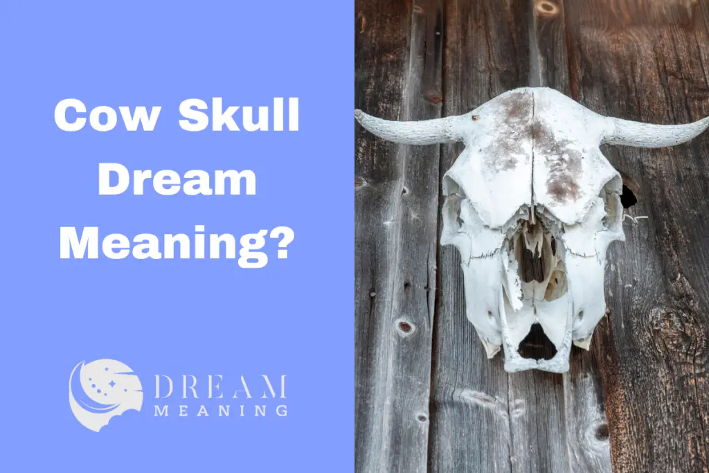 Uncovering The Hidden Meaning Behind Cow Skull Dreams The Dream Meaning