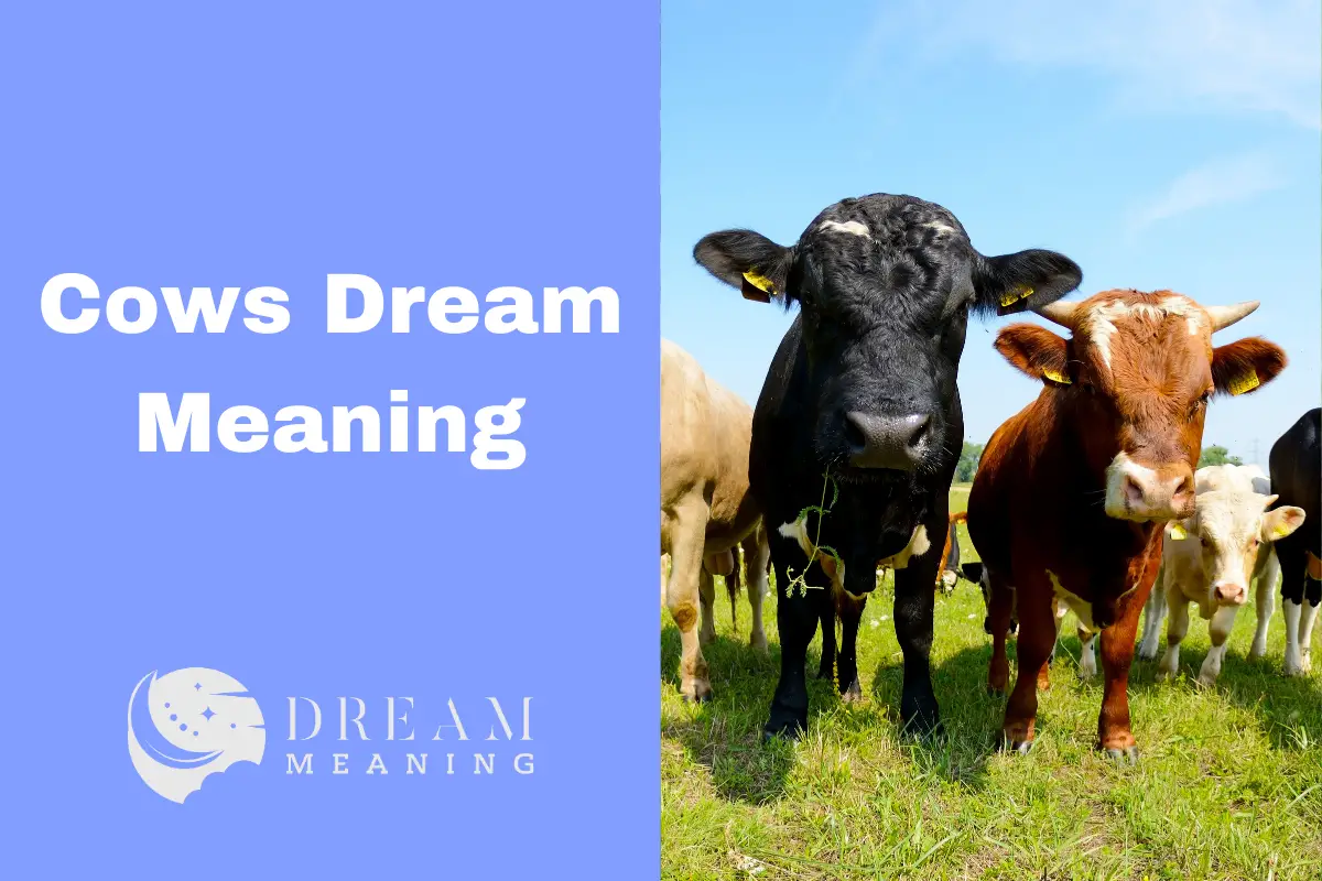 2 cows in dream meaning