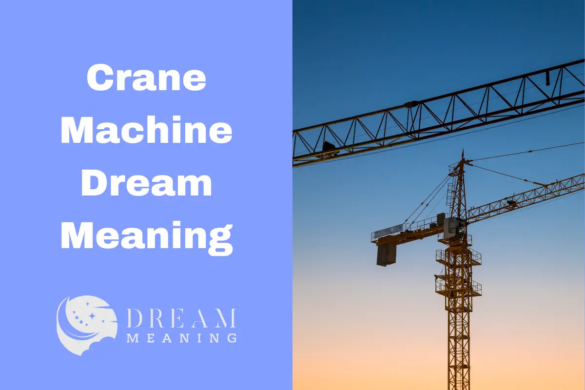 Crane Machine Dream Meaning