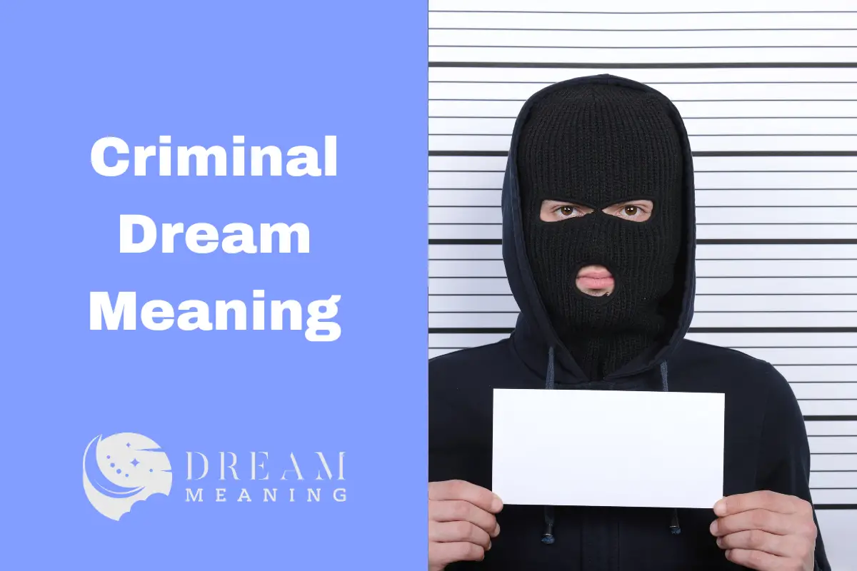 Criminal Dream Meaning