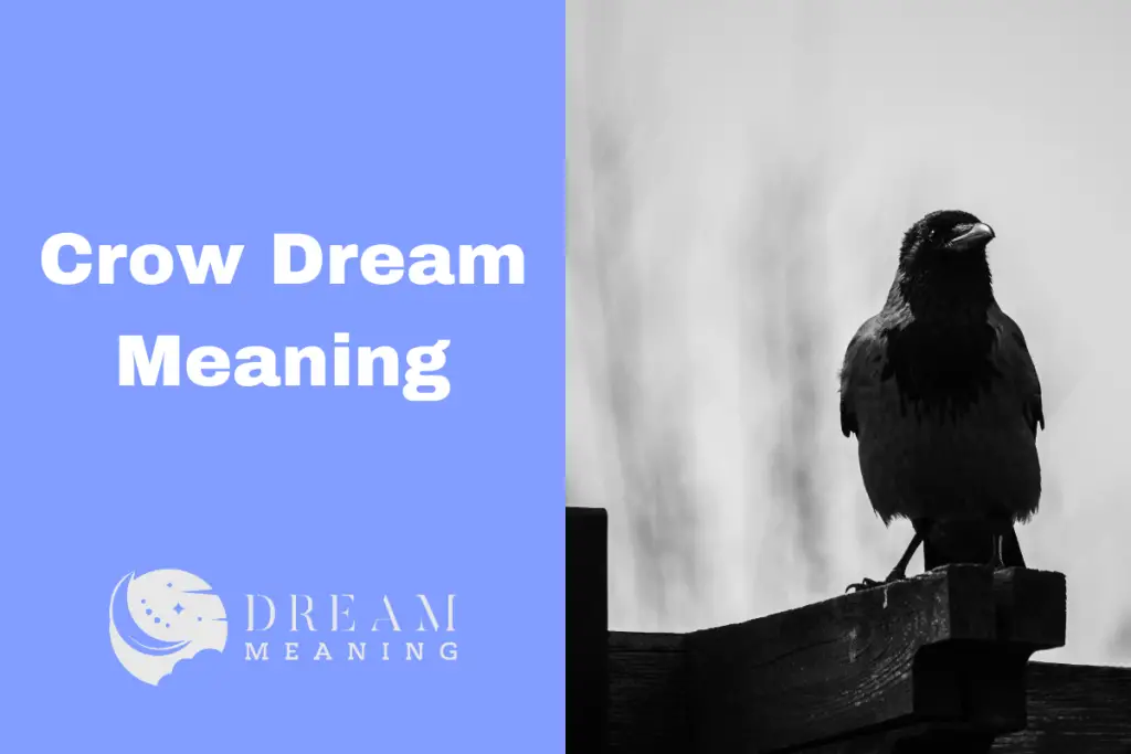 Crow Dream Meaning Uncover The Hidden Secrets Behind Your Dreams The Dream Meaning