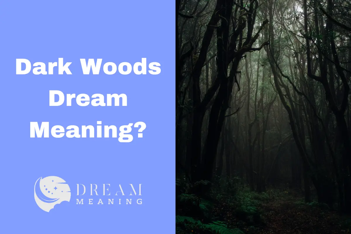 what-does-it-mean-when-you-dream-about-dark-woods-uncovering-the