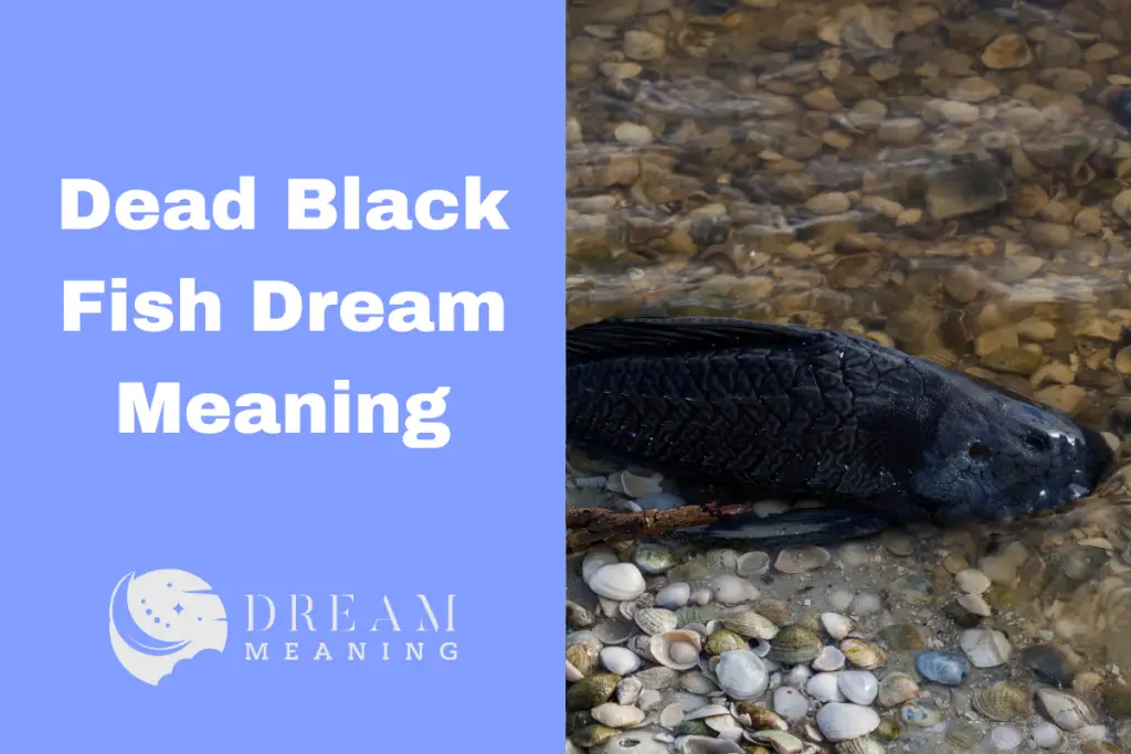 Dead Black Fish Dream Meaning Unveiling The Mystery Behind It The