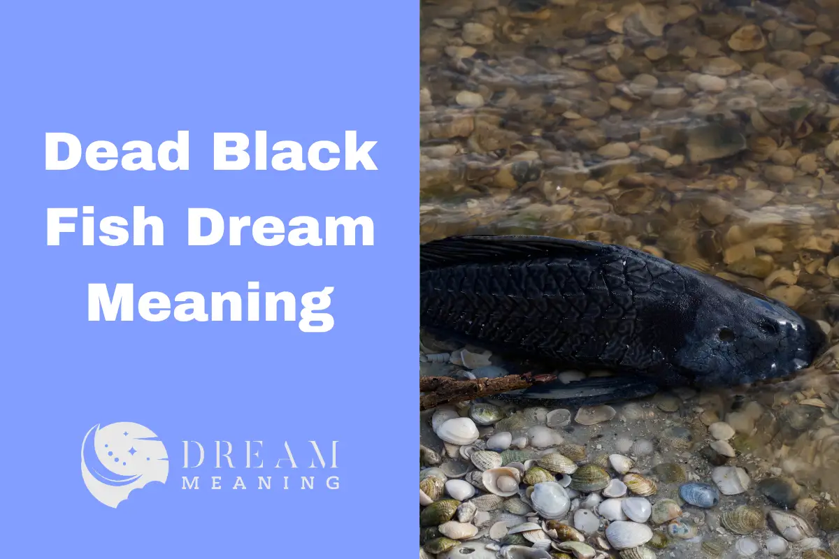 dead-black-fish-dream-meaning-unveiling-the-mystery-behind-it-the